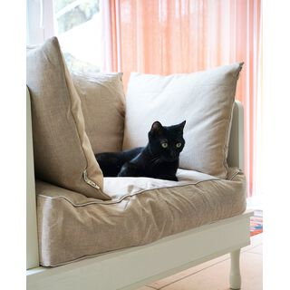CatS Design CatS Couch SF1