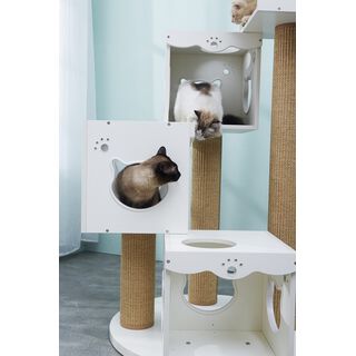 CatS Design Kratzbaum Katzenspielturm xxl große Katzen stabil Altaica XZ