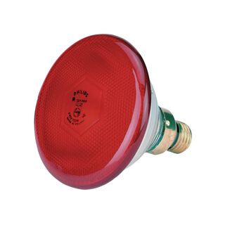 Infrarot-Energiesparlampe Philips 100W rot