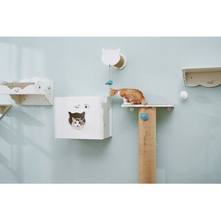 CatS Design Kletterwand große Katzen stabil Wandkratzbaum Wandhöhle F2