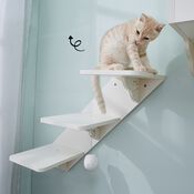 CatS Design Kletterwand große Katzen stabil Wandkratzbaum...