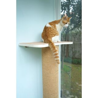 CatS Design Kletterwand gro�e Katzen stabil Wandkratzbaum Wandkratzs�ule F5 L