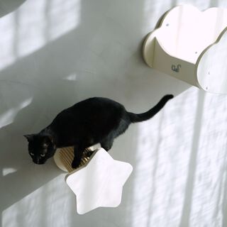 CatS Design Kletterwand große Katzen stabil Wandkratzbaum Wandsäule Sterne F9