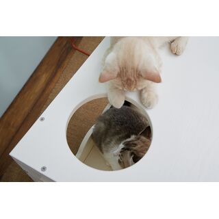 CatS Design Step 3 Katzenbett Superkombi II H3B